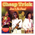 Cheaptrick CD package design